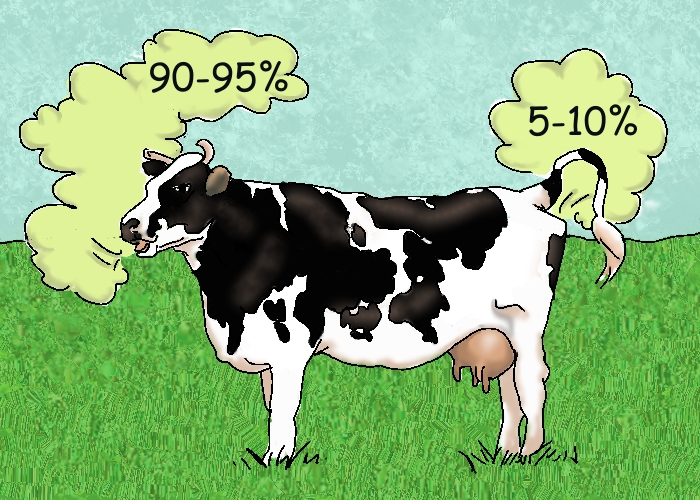 Private: Crazy and Controversial Ideas to Reduce Greenhouse Gas Emissions from Cows
